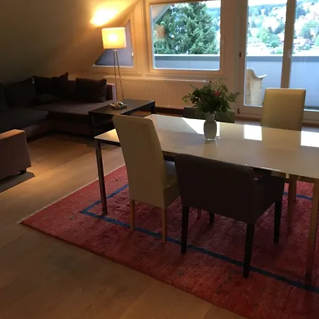 Concordia Harzapart Apartament