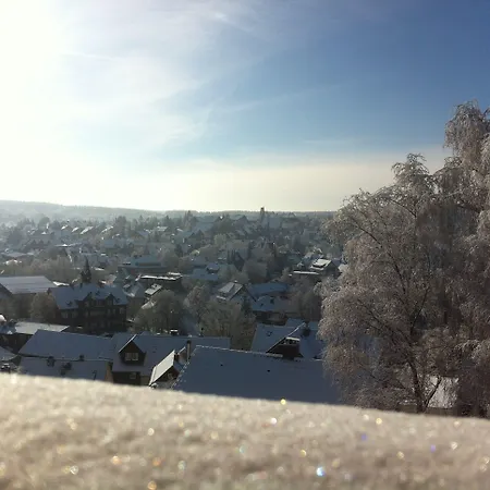 Apartament Concordia Harzapart *